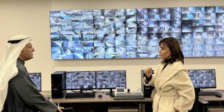 «التعليم العالي» تواجه تحديات الظروف الراهنة بـ 4 مراحل