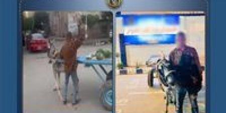 "بائع الخضار الغاضب".. ضرب حماره بالحجارة في البحيرة