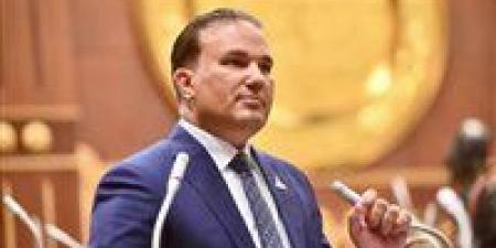 النائب تامر عبد الحميد: أدخلنا العديد من التشريعات في إعداد قانون حماية المنافسة