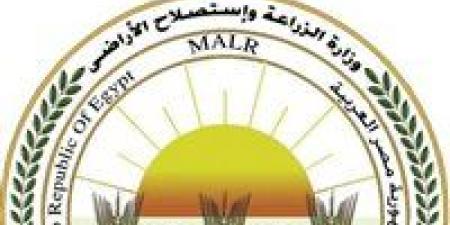 متحدث الزراعة: حملة لترشيد الاستهلاك ودعم المزارعين مع تطبيق نظم حديثة للري واستخدام الطاقة الشمسية