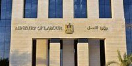 وزارة
      العمل
      تعلن
      عن
      165
      فرصة
      عمل
      متنوعة
      بمدينة
      بدر
      2026