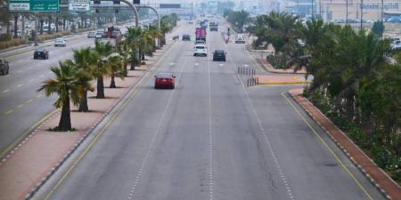 زراعة 3.3 ملايين شجرة بالشرقية