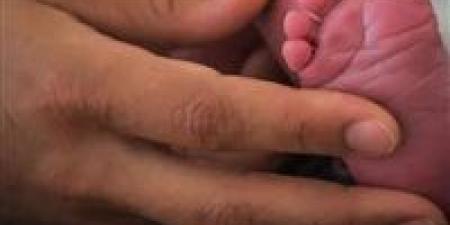 إعادة
      طفلة
      الحسين..
      كاميرات
      المراقبة
      تكشف
      المتهمة
      وتفضح
      تفاصيل
      الواقعة
      داخل
      المستشفى