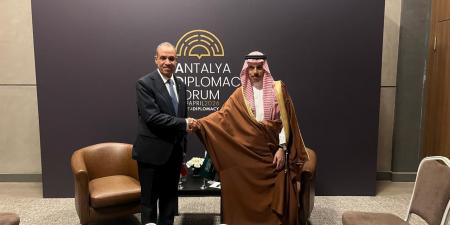 وزير
      الخارجية:
      المساس
      بسيادة
      السعودية
      والدول
      الخليجية
      مساساً
      مباشراً
      بالأمن
      القومي
      المصري
      والعربي