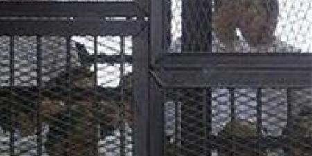 خلية
      الطالبية
      أمام
      العدالة..
      استمرار
      محاكمة
      5
      متهمين
      غدًا