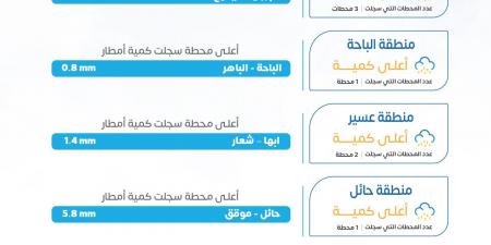 الأرصاد: 16.4 ملم أعلى كمية أمطار مسجلة خلال 24 ساعة في رفحاء