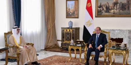السيسي مستقبلاً وزير الخارجية: أمن الكويت والدول العربية.. امتداد لأمن مصر القومي