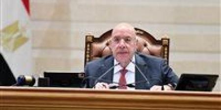 البرلمان
      يحيل
      بيان
      وزير
      التخطيط
      لمجلس
      الشيوخ