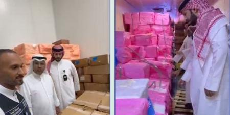 «الغذاء»: ضبط 28.9 طنًا من الأسماك الفاسدة