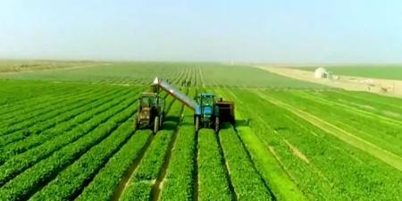 جهاز
      «مستقبل
      مصر»
      يعزز
      جاذبية
      الاستثمار
      ويحفّز
      مشاركة
      القطاع
      الخاص