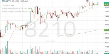 تهدئة مؤقتة في حركة سهم "بوبا العربية" داخل نموذج استمراري