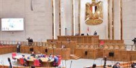 6
      مطالب
      عاجلة
      لدعم
      فرص
      الاستثمار
      وتوفير
      فرص
      عمل
      للشباب
      بجنوب
      سيناء