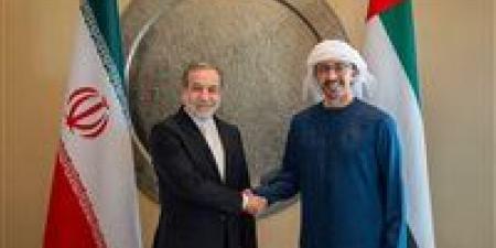 عراقجي:
      جيرانا
      أولويتنا
      في
      جولة
      "مفاوضات
      السلام"
      بباكستان
      وروسيا