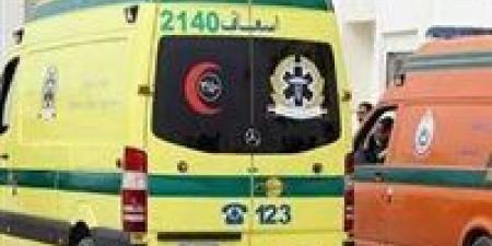 طفل
      في
      مرمى
      السرعة..
      دراجة
      نارية
      تصدم
      صغيرًا
      ببني
      سويف
      وقائدها
      طالب
      13
      عامًا