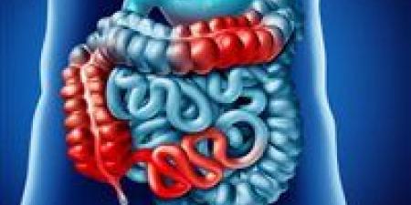 دراسة
      حديثة:
      الصيام
      المتقطع
      يهزم
      كرون
      بنسبة
      40%
      ومفاجأة
      في
      الوزن