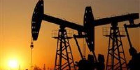 ما
      تأثير
      اضطراب
      مضيق
      هرمز
      على
      أسواق
      الطاقة
      وسلاسل
      الإمداد
      العالمية؟..
      المدير
      التنفيذي
      للغرفة
      الدولية
      للشحن
      تُجيب