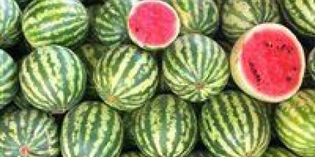 «الزراعة»
      تطمئن
      المواطنين:
      البطيخ
      آمن
      والأسعار
      ستتراجع
      مع
      زيادة
      المعروض