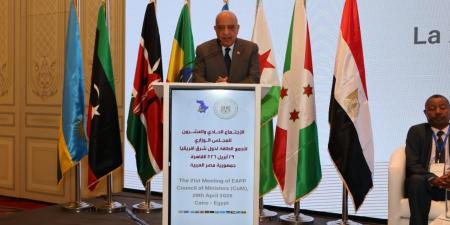 وزير الكهرباء: التكامل الإقليمي ضرورة استراتيجية لتعظيم الاستفادة من الموارد المتاحة