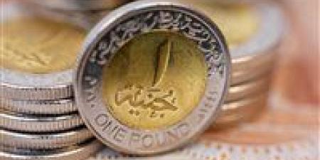 الجنيه بين الضغوط والمرونة.. إلى أين تتجه العملة المحلية؟