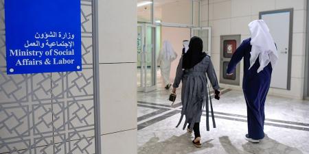 وزيرة الشؤون تحلّ مجلس إدارة جمعية الثروة الحيوانية وتحيل أعضاءه للنيابة