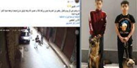 ضبط
      طالبين
      يروعان
      الأطفال
      بالكلاب
      في
      المنيرة
      الغربية
      بالجيزة