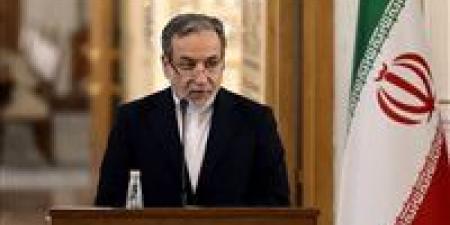 عراقجي: طهران لن تذعن للضغوط والمغامرات الأمريكية