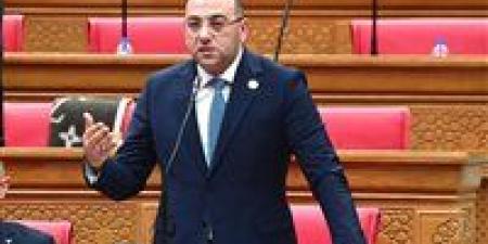 برلمانية حماة الوطن تتقدم بمشروعي قانون للأحوال الشخصية والتأهيل الأسري