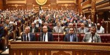 وكيل اقتصادية الشيوخ تطالب بمراجعة تسعير أسعار رحلات الطيران