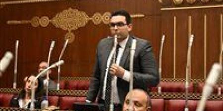 عضو بالشيوخ: معارض الكتاب بالمحافظات تعزز الوعي الثقافي وتصل للمواطنين