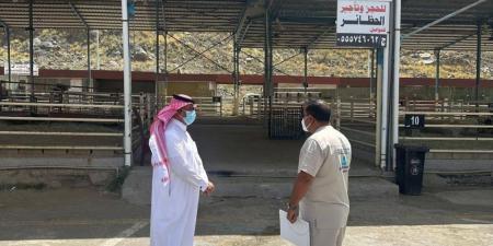 بيئة عسير تتابع جاهزية أسواق النفع العام والمسالخ