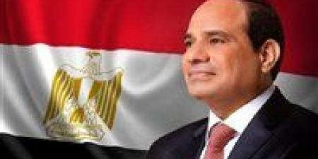 نواب:
      كلمة
      الرئيس
      السيسي
      في
      يوم
      أفريقيا
      تأكيد
      على
      ريادة
      مصر
      ودعم
      مسيرة
      التنمية
      والتكامل
      بالقارة