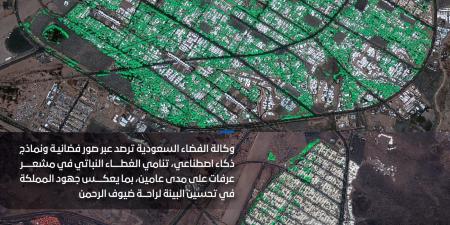 وكالة الفضاء السعودية ترصد نمواً في الغطاء النباتي بعرفات باستخدام الذكاء الاصطناعي وتقنيات الفضاء