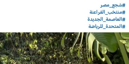 تامر
حسني
يحيي
حفلا
غنائيا
باستاد
القاهرة
قبل
مباراة
مصر
وروسيا