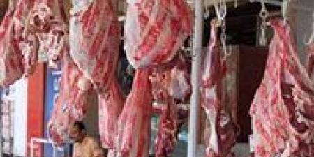 خطة
      طوارئ
      تموينية
      لعيد
      الأضحى:
      ضخ
      لحوم
      طازجة
      بخصومات
      تصل
      إلى
      30%
      وتأمين
      الخبز
      البلدي
