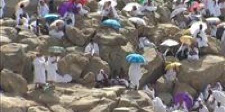 خطبة
      عرفة
      للشعراوي
      1976
      تتصدر
      التريند..
      تفاصيل