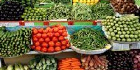 خريطة
الأسعار
تتغير..
الطماطم
والبصل
في
مستويات
غير
متوقعة
اليوم