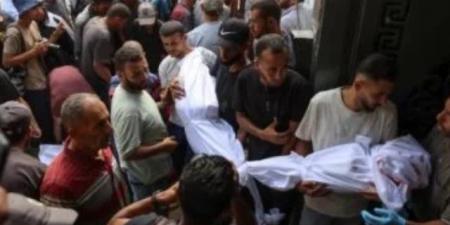 باميه: قتلى أطفال غزة فى 4 أشهر يفوق ضحايا نزاعات أخر أربع سنوات