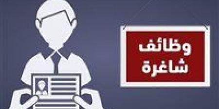 وزارة
العمل
تعلن
عن
وظائف
بمدينتي
6
أكتوبر
والعبور
برواتب
مجزية