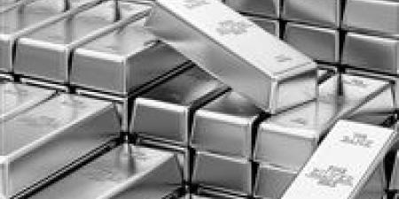 تراجع
      أسعار
      الفضة
      بمصر
      0.7%
      خلال
      أسبوع..
      واستقرار
      الجنيه
      يمتص
      صدمة
      الهبوط
      العالمي