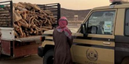 الأمن البيئي يضبط مقيمًا نقل حطبًا محليًا بطريقة مخالفة في الرياض