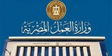 وزارة
العمل
تحذر
من
إعلانات
التوظيف
الوهمية
بالخارج