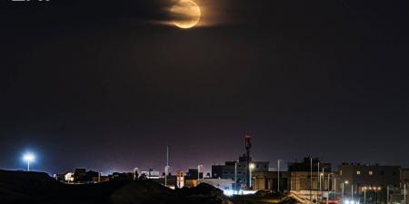 الحدود الشمالية.. تنوع حيوي ومراع طبيعية وسماء صافية ترسم مشهدا بيئيا فريدا في شمال المملكة