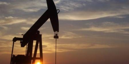 النفط
      يتراجع
      3%
      مع
      إلغاء
      ترامب
      الضربات
      المقررة
      ضد
      إيران