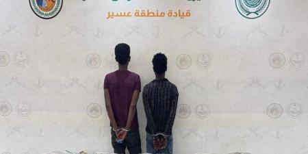 حرس
      الحدود
      يضبط
      57
      كجم
      من
      الحشيش
      المخدر
      في
      عسير
