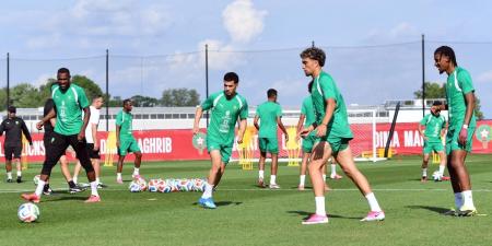 المغرب يكشف آخر مستجدات الحالة الصحية للاعبي "أسود الأطلس"