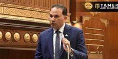 برلماني:
الدعم
النقدي
أكثر
كفاءة..
ونجاحه
مرهون
بالتنفيذ
الدقيق