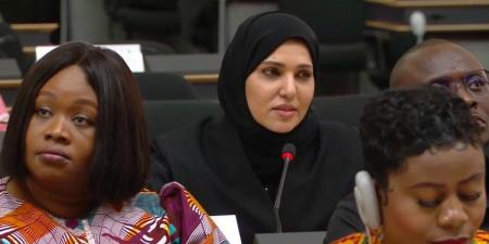 المندوب الدائم لدولة قطر لدى مكتب الأمم المتحدة بجنيف تشارك في المناقشة غير الرسمية بمناسبة الذكرى العشرين لإنشاء مجلس حقوق الإنسان