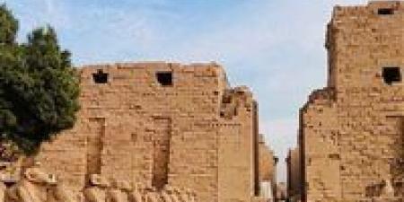 غرفة
السياحة:
ما
فيش
مستثمر
بدون
حوافز
والأموال
الساخنة
لا
تفيد