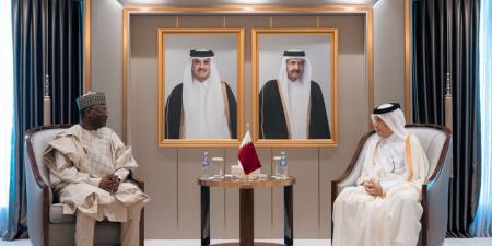 وزير الدولة للشؤون الخارجية يتسلم نسخة من أوراق اعتماد السفير النيجيري
