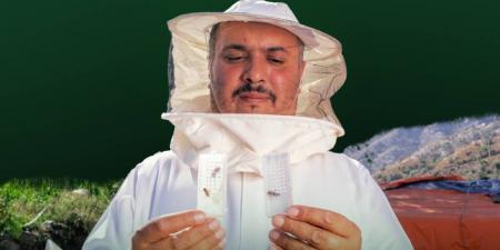 رفع جاهزية محطات إنتاج ملكات النحل إلى 99%